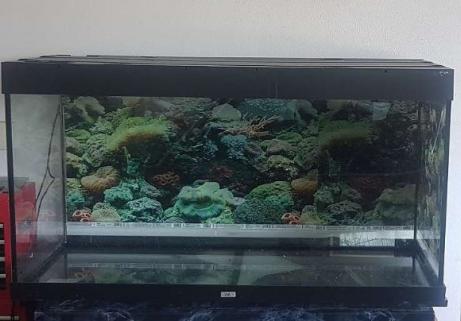 JEWEL 360L Aquarium 1