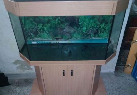 Aquarium avec armoire 2