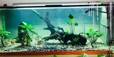 Aquarium 1400 L 4