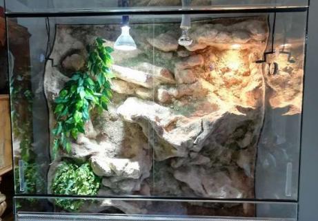 Terrarium 1