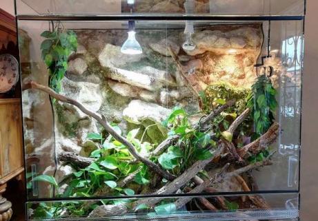 Terrarium 3