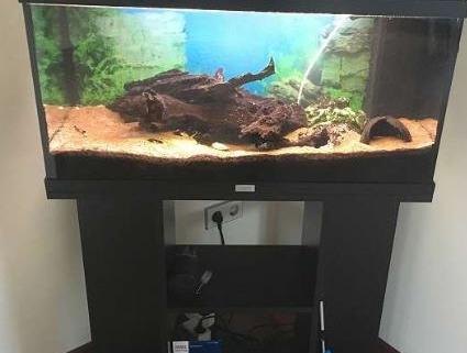 Aquarium 120l 1