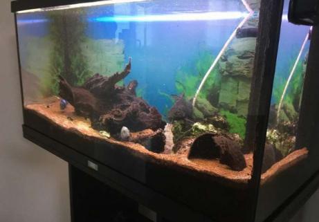 Aquarium 120l 2