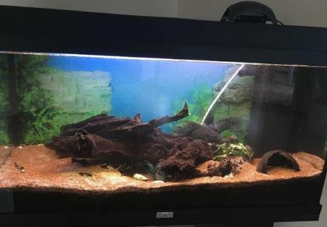 Aquarium 120l 3