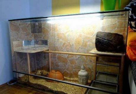 Relatie potlood grond grand terrarium 150x100x50 | FiftyTrade