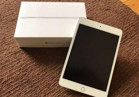 iPad Mini 4 Retina16 Go 4