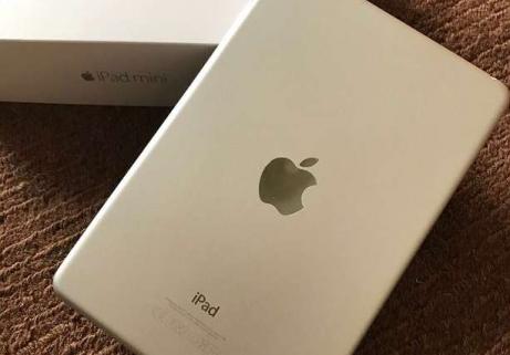 iPad Mini 4 Retina16 Go 5