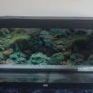 JEWEL 360L Aquarium 1