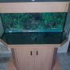 Aquarium avec armoire 2