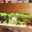 aquarium 720 litres 1
