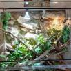 Terrarium 3