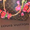 Sac Louis Vuitton 1