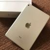 iPad Mini 4 Retina16 Go 5