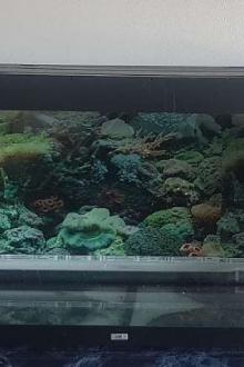 JEWEL 360L Aquarium