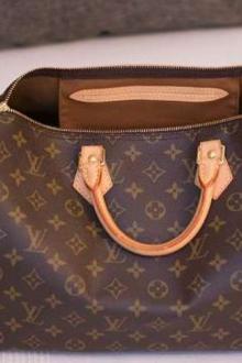 Louis Vuitton Speedy 35