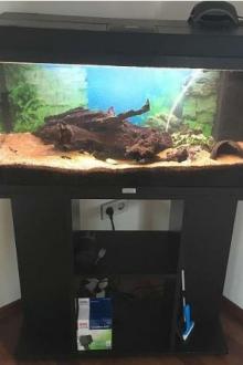 Aquarium 120l